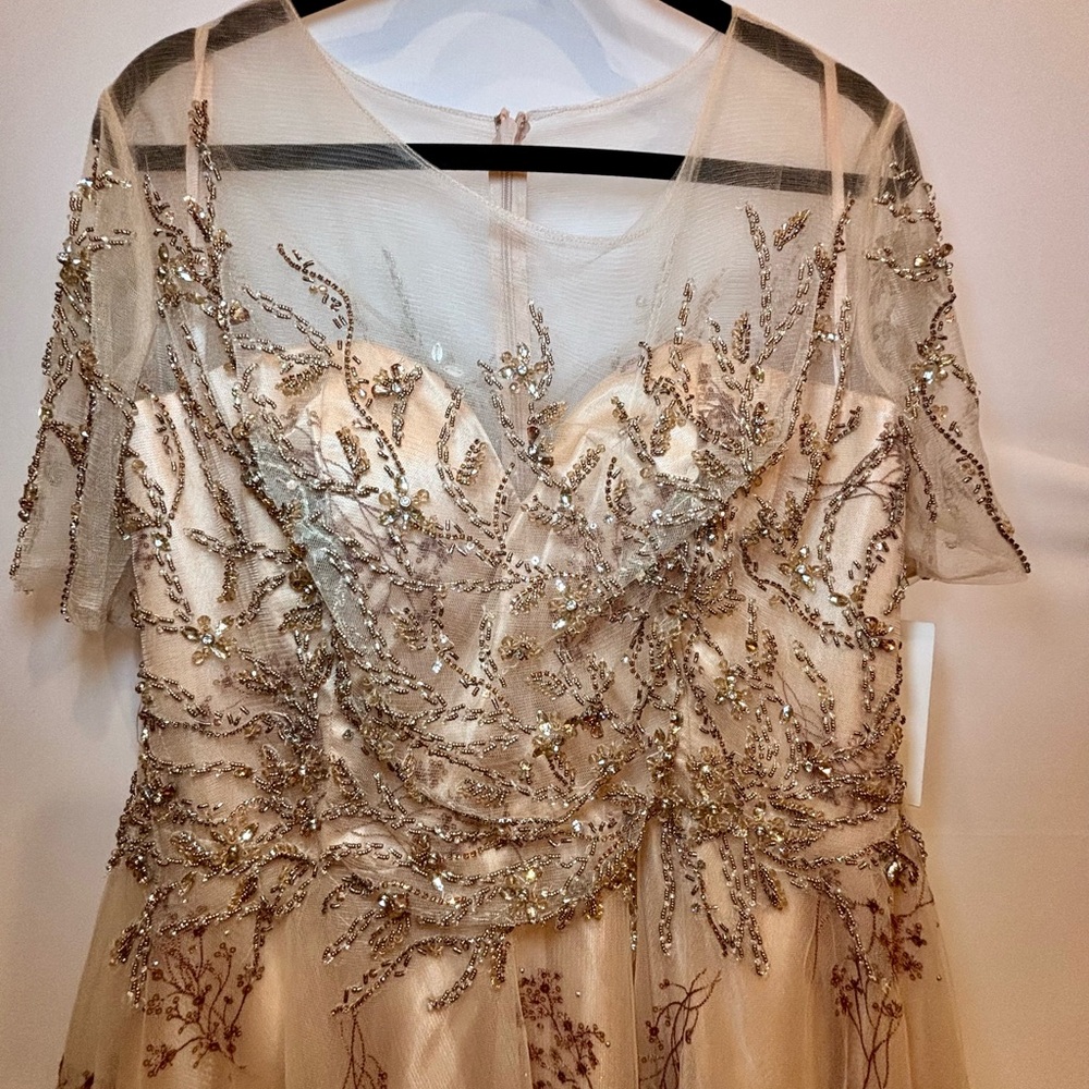 NWT MAC DUGGAL SZ 16 CHAMPAGNE/PINK Embellished Illusion Enchanting Gown #79317 - Picture 3 of 13